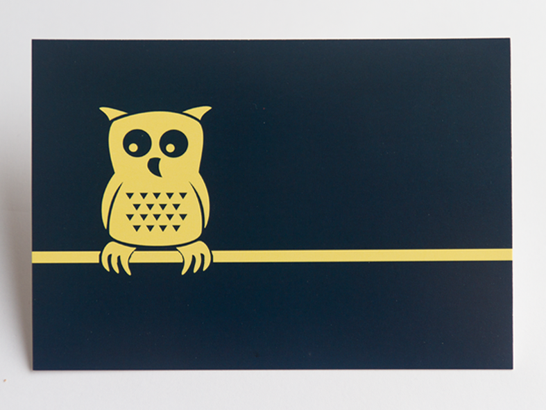 Kartenset Eule